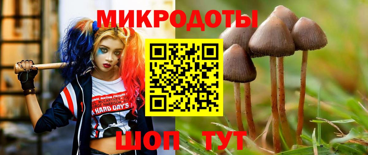 Красноуфимск  Галлюциногенные грибы Psilocybine cubensis  Вход с VPN 